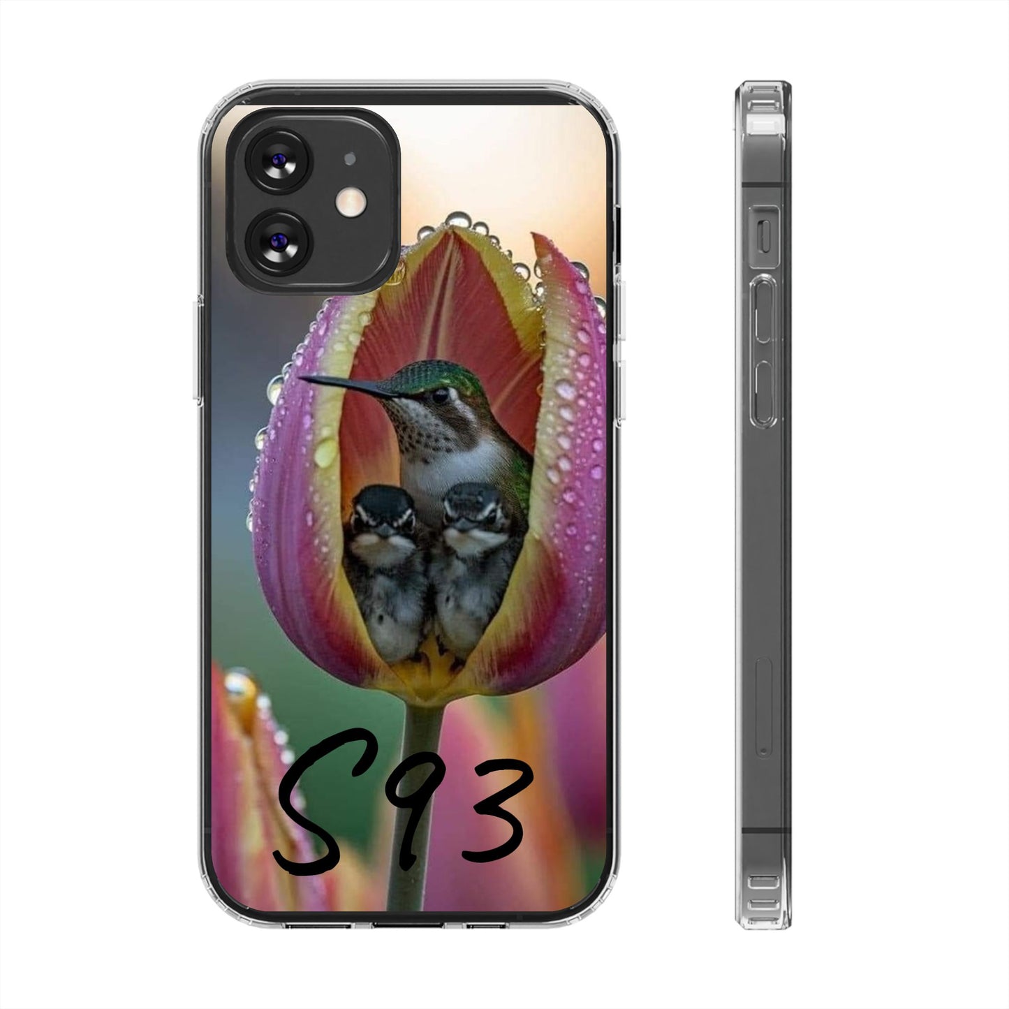 Clear Cases S93