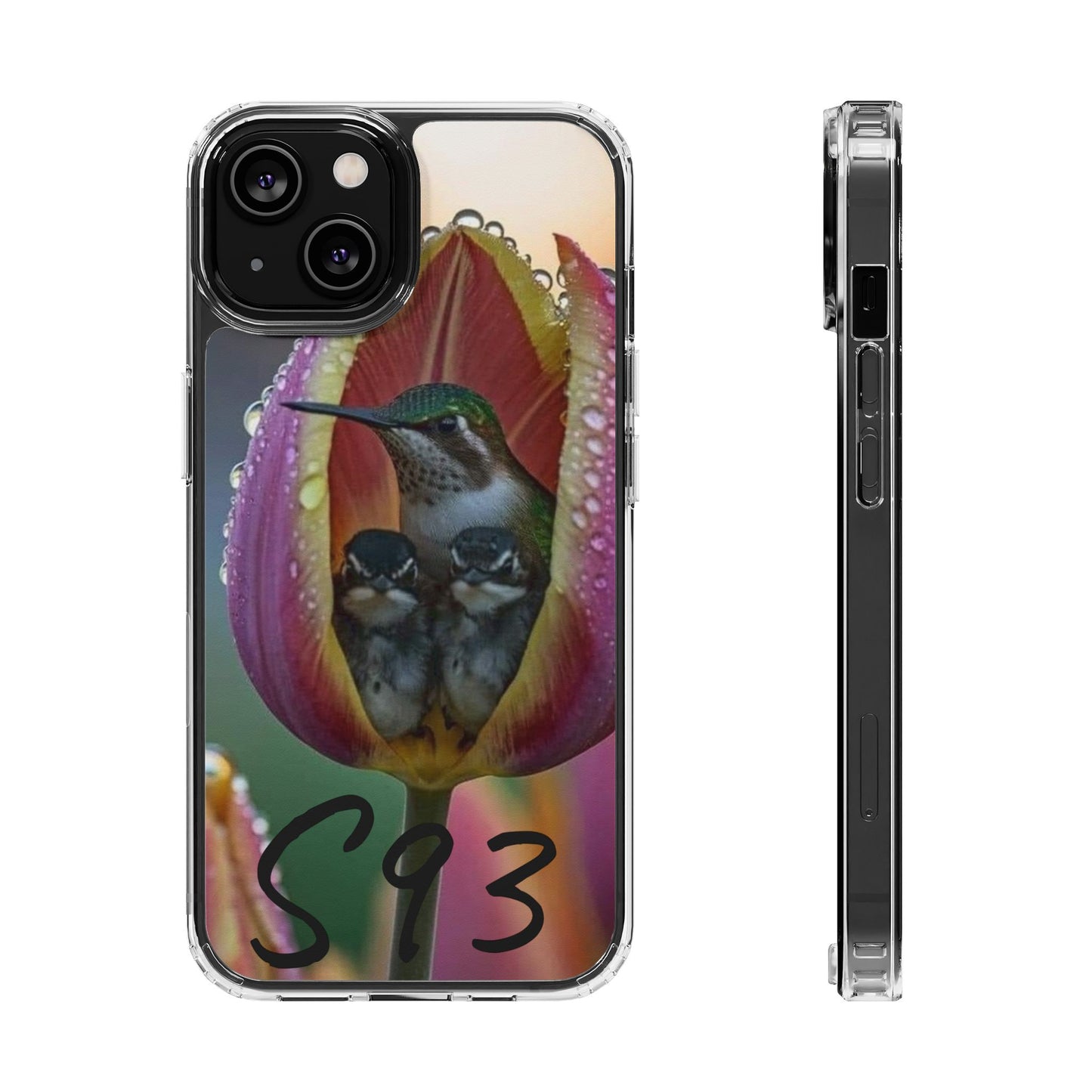 Clear Cases S93