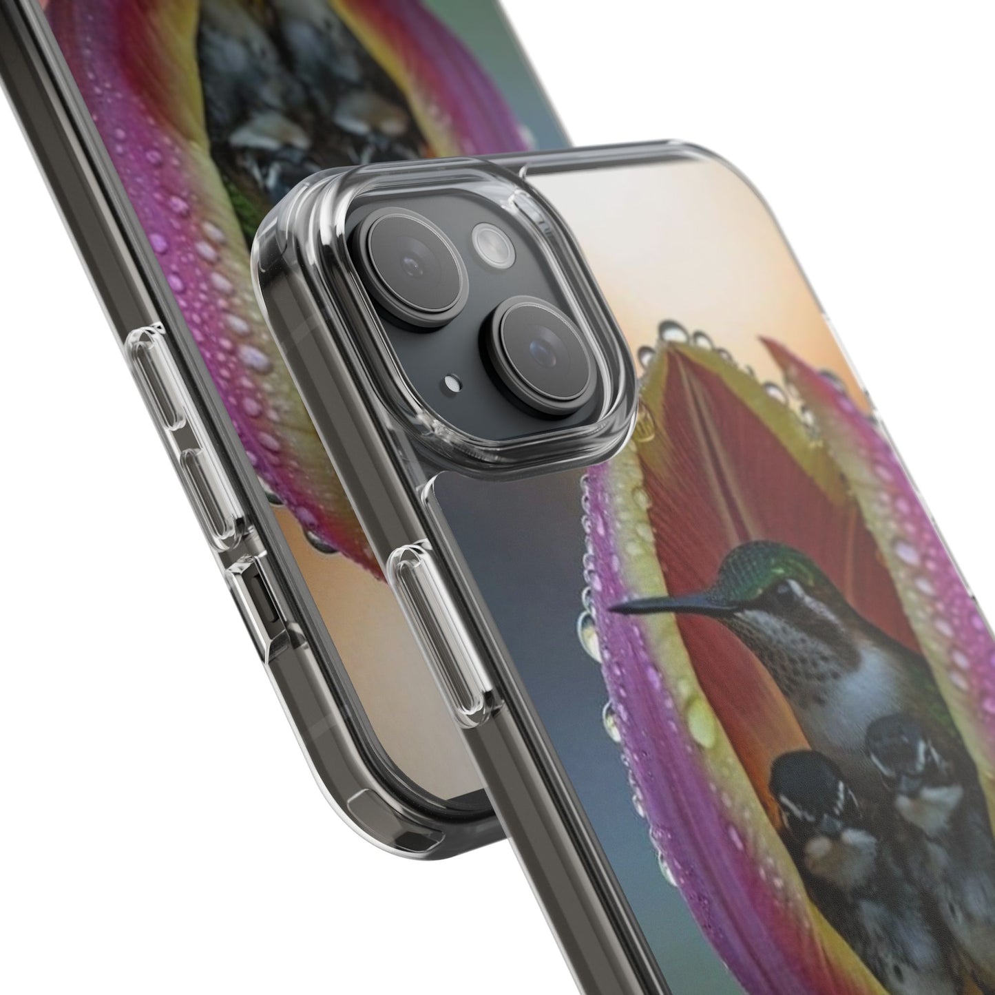 Clear Cases S93
