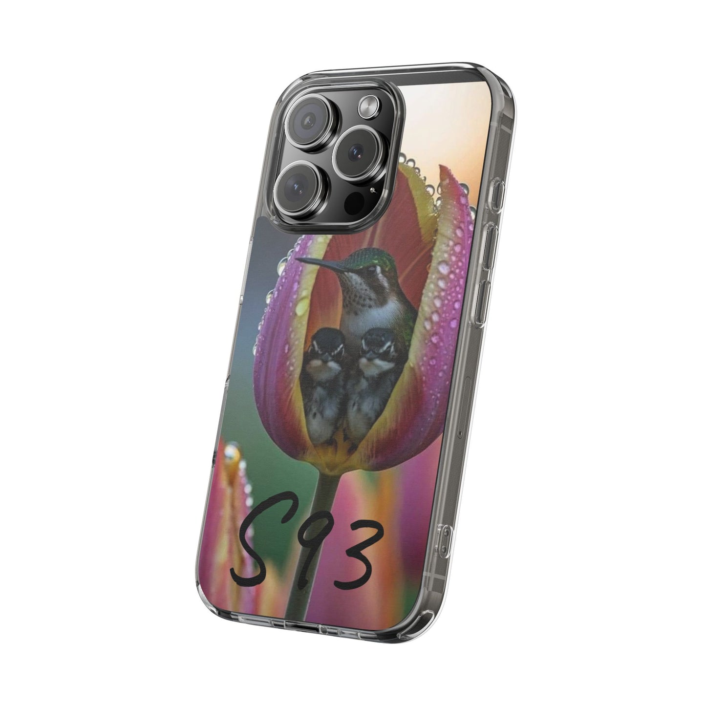 Clear Cases S93