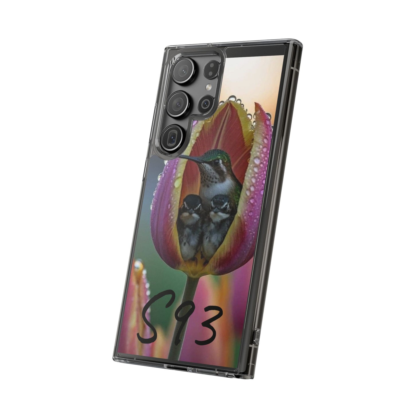 Clear Cases S93