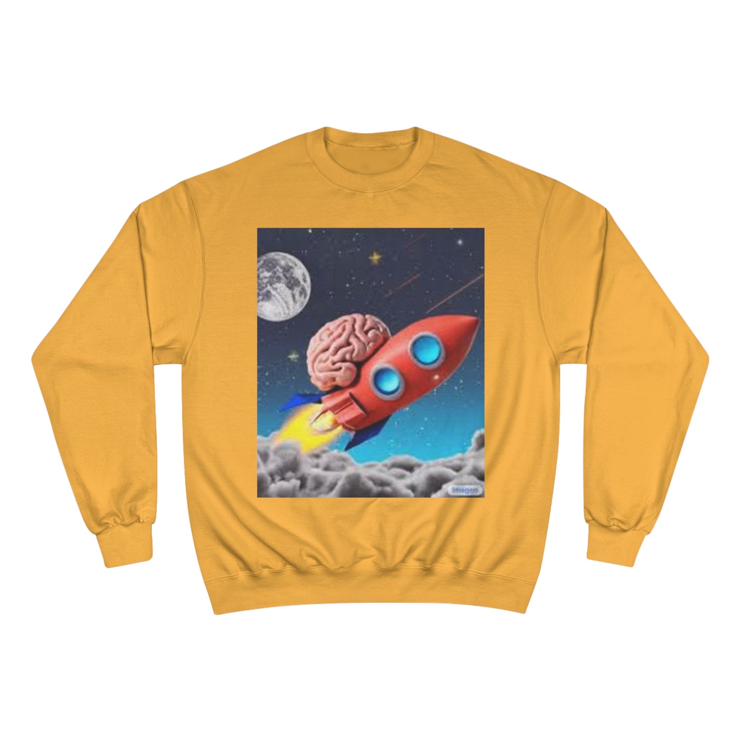 Champion Sweatshirt S93