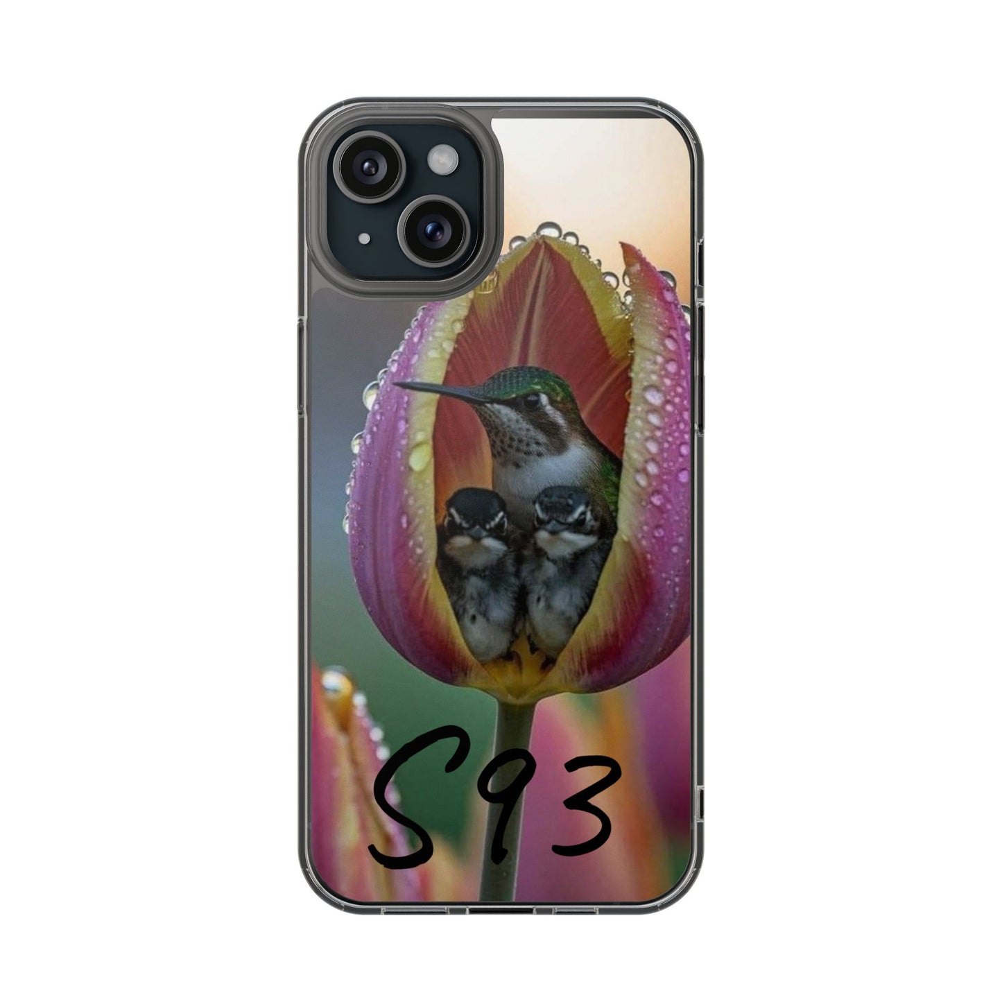 Clear Cases S93