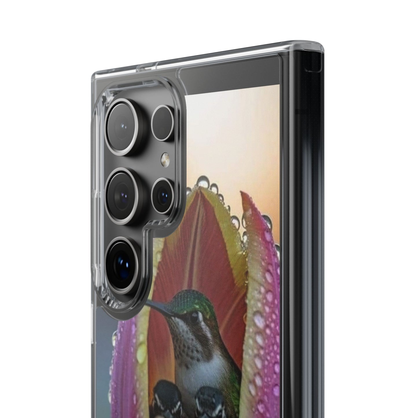 Clear Cases S93