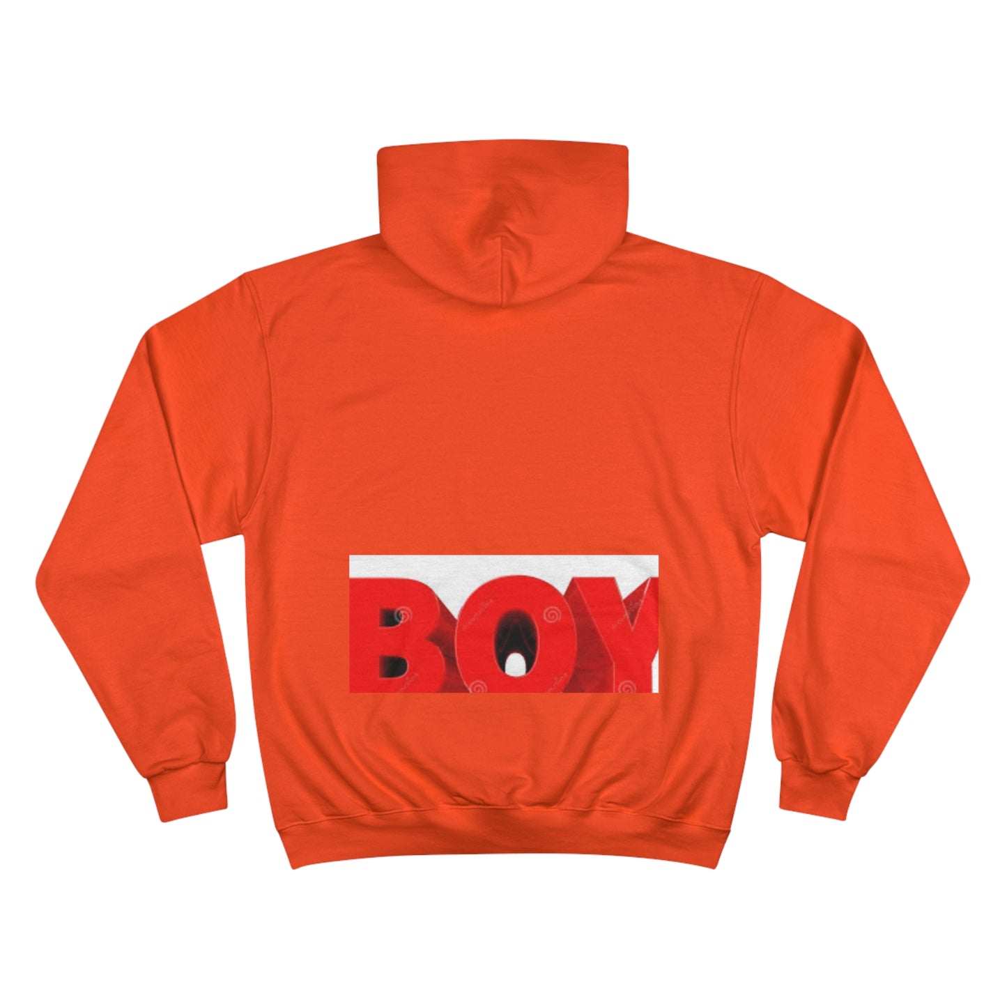 Champion Hoodie s93