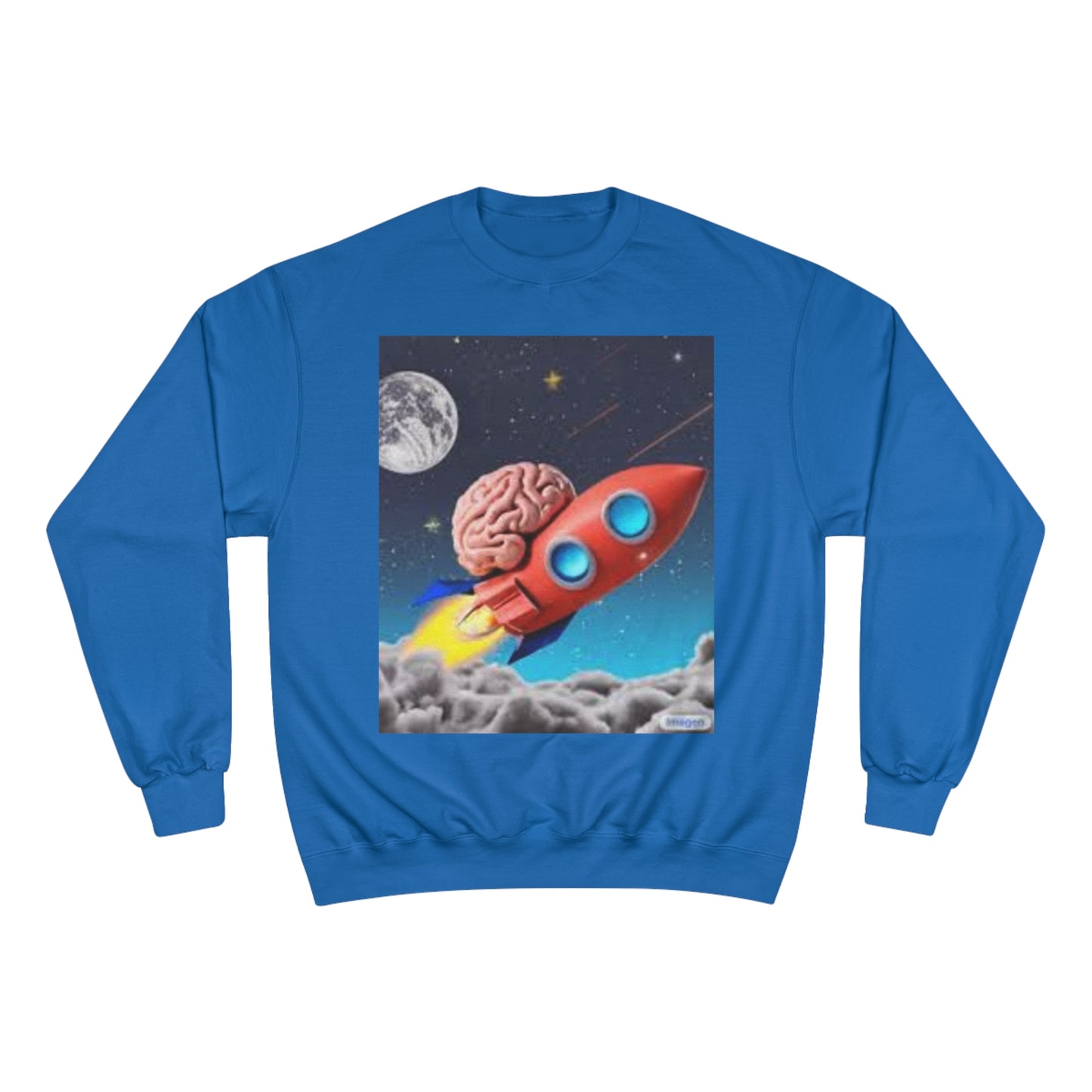 Champion Sweatshirt S93