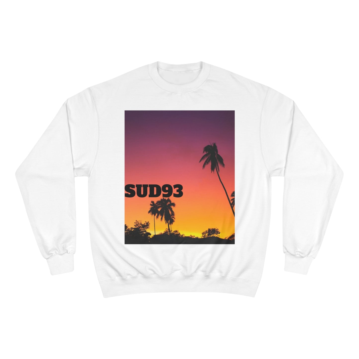 Champion Sweatshirt SUD93