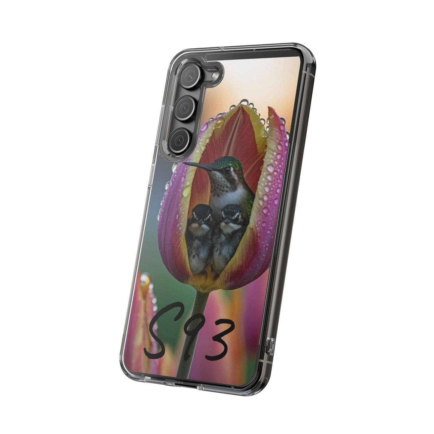 Clear Cases S93