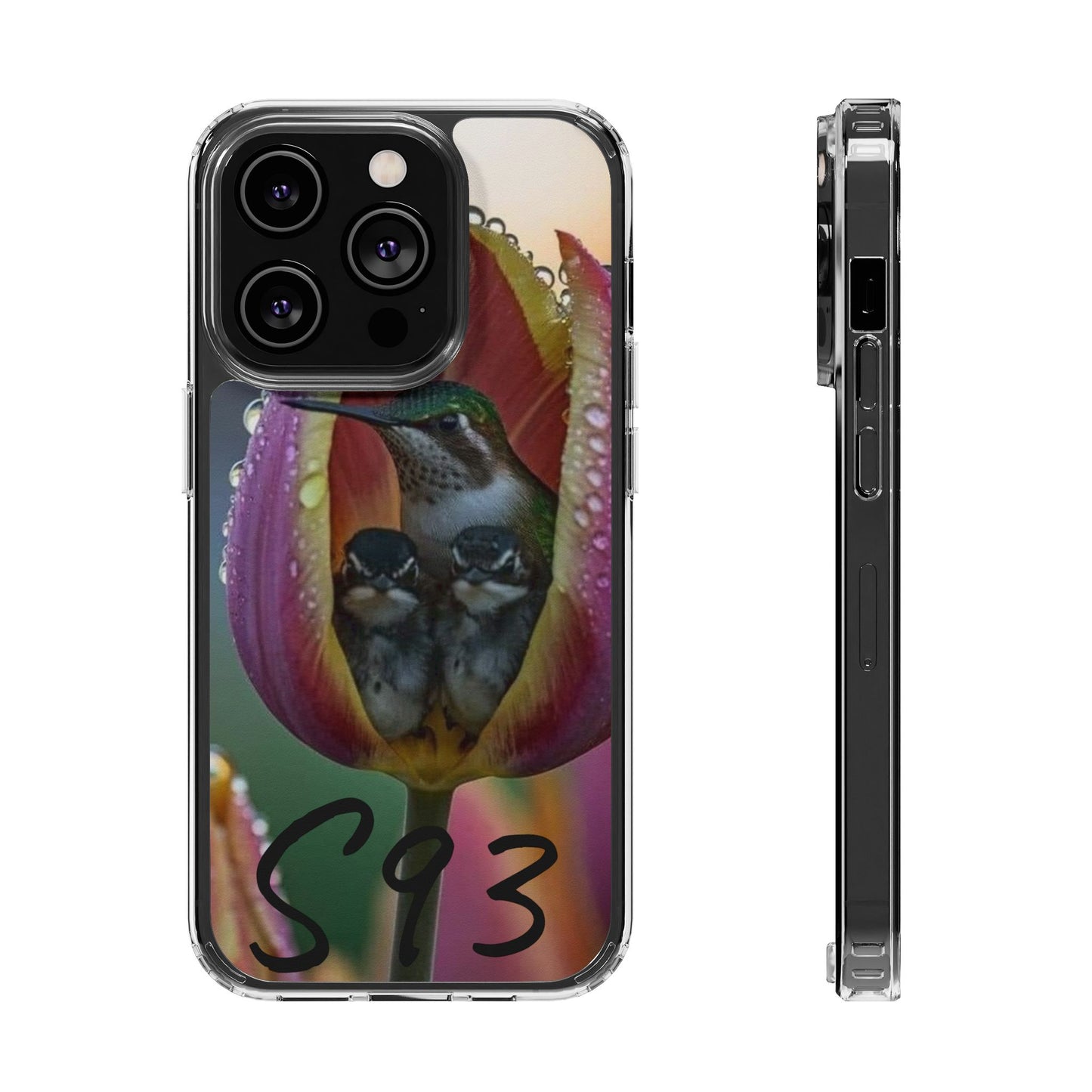 Clear Cases S93