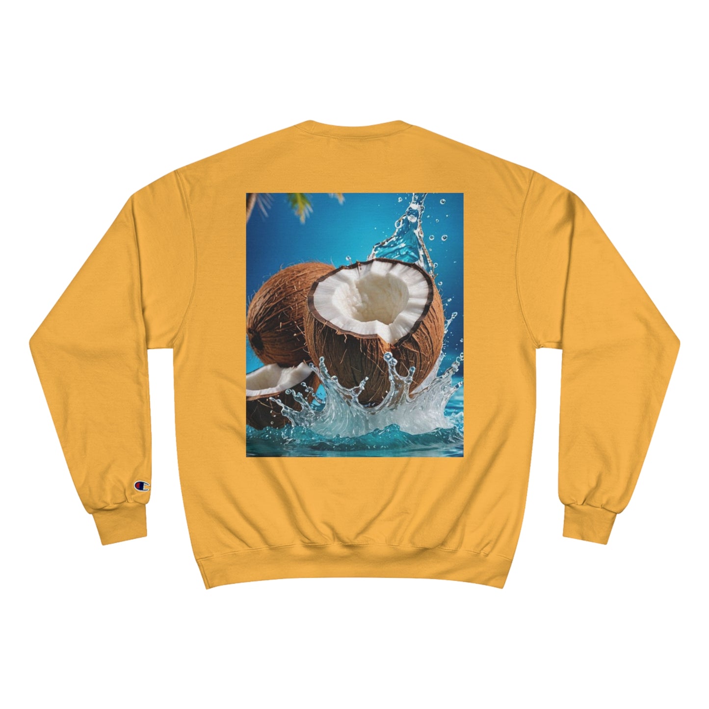 Champion Sweatshirt SUD93