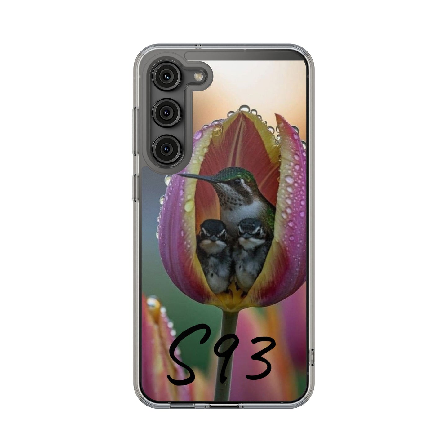 Clear Cases S93