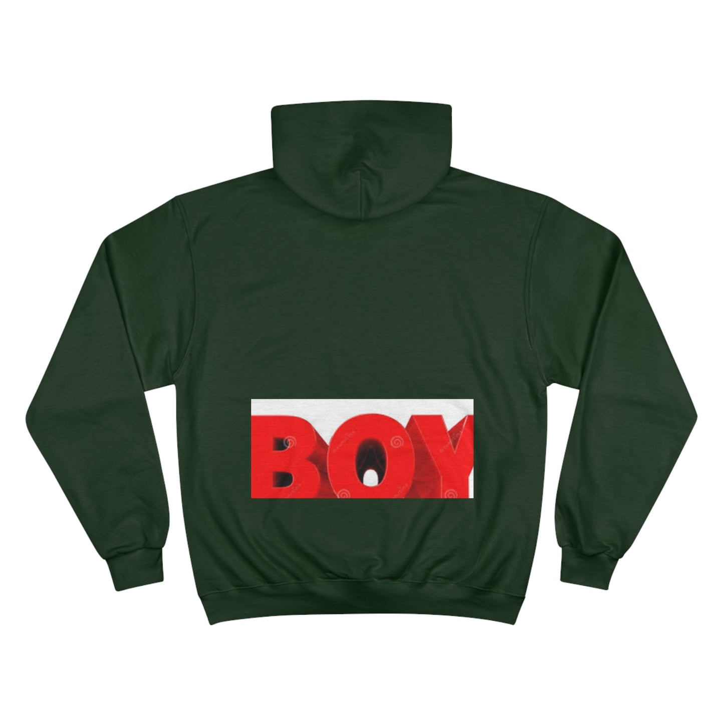 Champion Hoodie s93