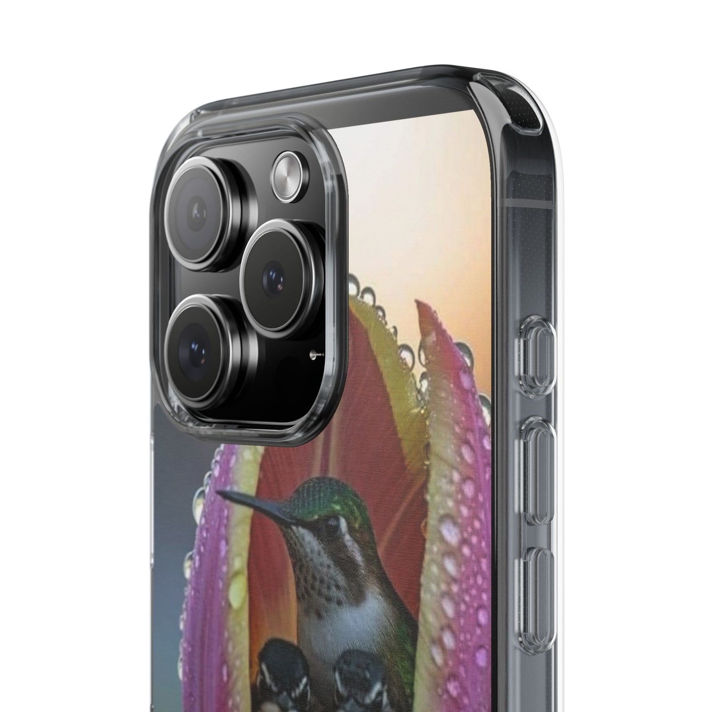 Clear Cases S93